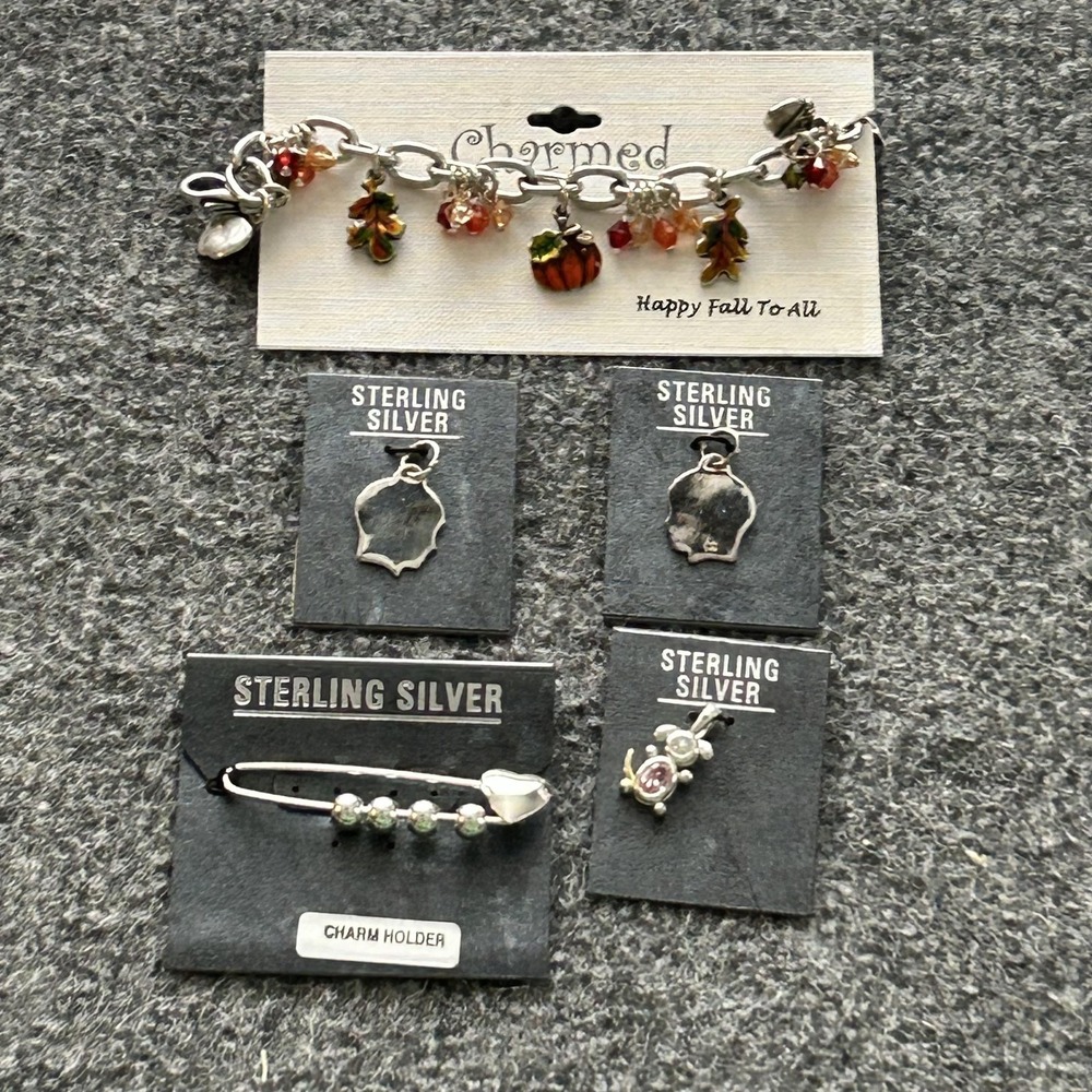Mixed Sterling Silver Womens Bracelet Charm Pendant Pin Lot Fall Dog Heart